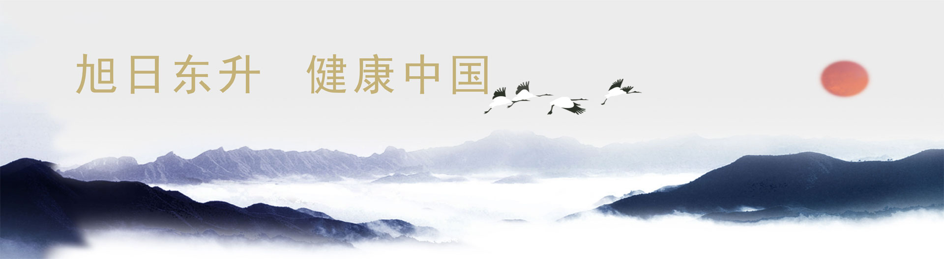 加入我们