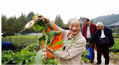 长寿密码